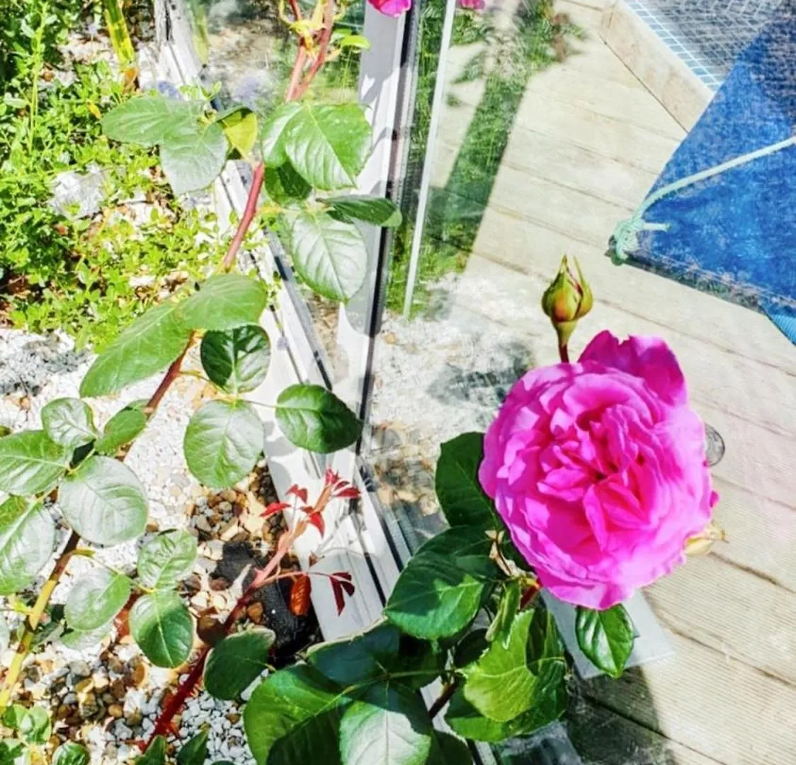Διαμέρισμα Studio Confort Plouedern 20 M² Avec Jardin Clos